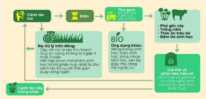 Phát triển nông nghiệp bền vững góp phần giảm phát thải khí nhà kính