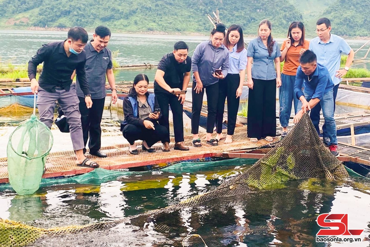 Mô hình nuôi cá lăng nha lồng bè theo tiêu chuẩn VietGAP tại bản Pá Uôn, xã Mường Giàng, huyện Quỳnh Nhai.