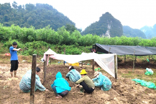 Tổ chức lớp Tập Huấn, Đào tạo, Tư vấn Chuyển Giao Công Nghệ Trồng Cây Gai Xanh tại tỉnh Quảng Bình