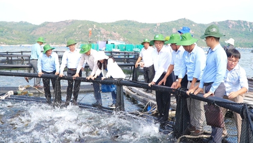 Mô hình thí điểm nuôi biển công nghệ cao” tại vùng biển hở xã Cam Lập,TP  Cam Ranh, tỉnh Khánh Hòa