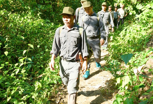 Bảo vệ và phát triển rừng tạo nền tảng vững chắc cho thị trường carbo rừng Việt Nam