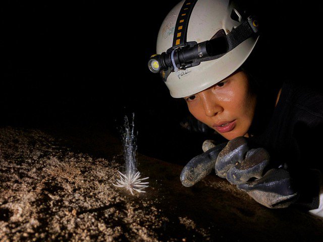 Xuất hiện thủy quái bí ẩn trong hang động ở Phong Nha Kẻ Bàng Anhr 1